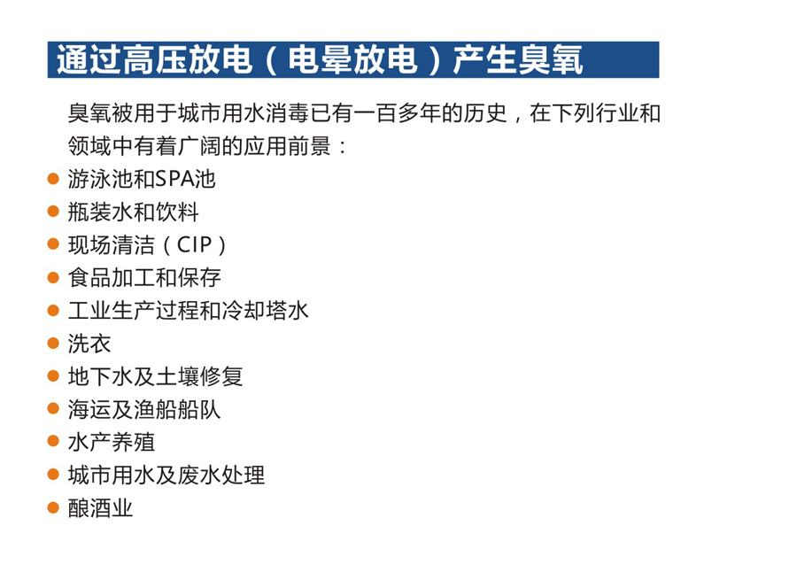 臭氧消毒器 游泳池設(shè)備